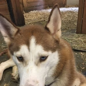 Meet your Posher, Zara